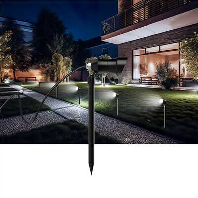 Zogbɛn Spike tɔn lɛ